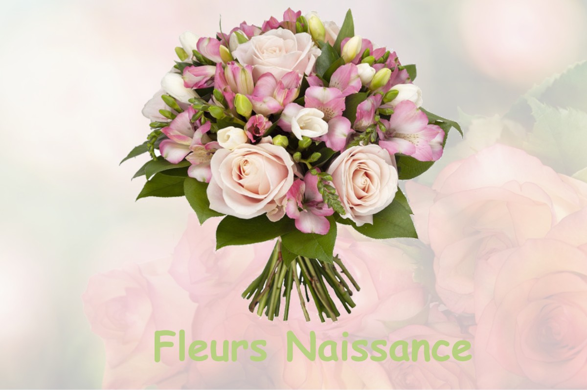 fleurs naissance SAINT-LAMAIN